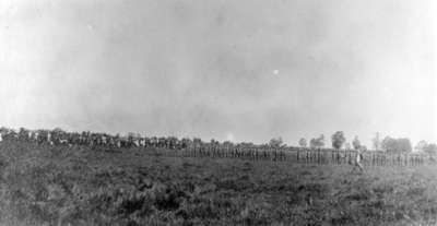 116th Battalion Soldiers at Military Review, 1916