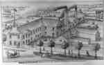 Print of Brown and Patterson Manufacturing Company, 1877.