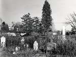 Monuments - Cemeteries - Pickering Village - Catholic Cemetery