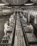 Assembly Line - Ammunition - Defence Industries Limited