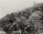 Man canoeing in Duffins Creek