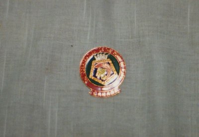 Town of Ajax Pin