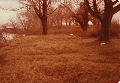 Duffins Creek Graves