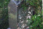 John and Elizabeth Tolsher's Headstone