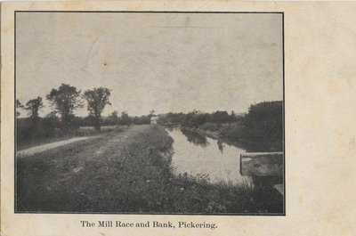 The Mill Race and Bank