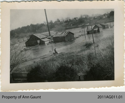 The 1948 Flood of the Grand River