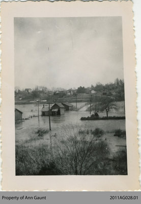 Grand River Flooding in Glen Morris