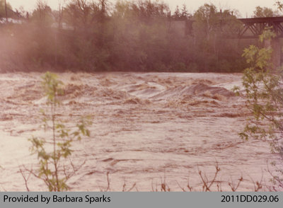 Flood in Paris, Ont.