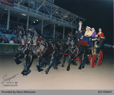 Witteveen Friesian Horses