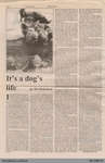 It's a Dog's Life by Mel Robertson, from The Burford Times