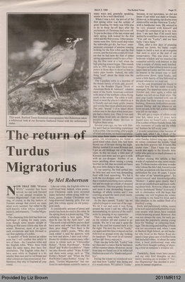 The Return of Turdus Migratorius by Mel Robertson, from The Burford Times