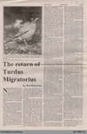 The Return of Turdus Migratorius by Mel Robertson, from The Burford Times