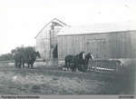 Barns on the Hamilton Farm