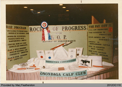 First Place 4-H Display at Paris Fair