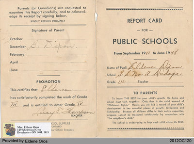 Reporting Progress Card of Eldene Dixon, Grade Three