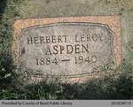 Herbert Leroy Aspden