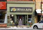 The River Lily