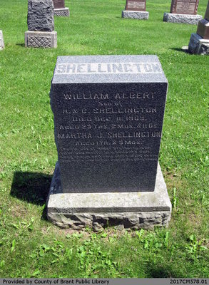 William Albert and Martha J. Shellington