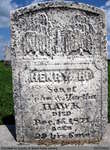 Henry H. Hawk