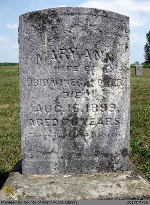 Mary Ann Winegardner