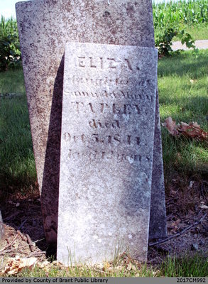 Eliza Tapley