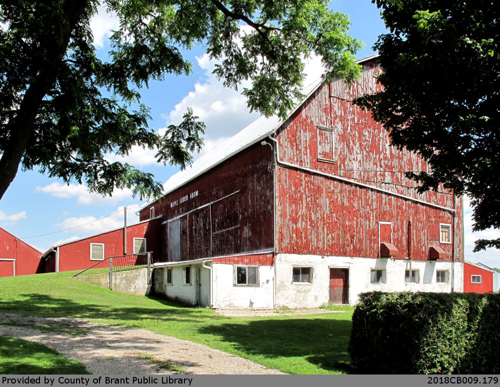 Maple Arbor Farm