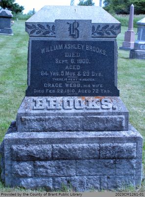 William Ashley Brooks and Grace Webb