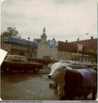 Photograph of the Paris Bank of Montreal and IGA Supermarket