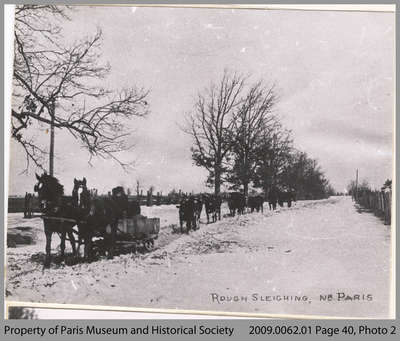 Sleigh and Cattle Going to Market, Paris