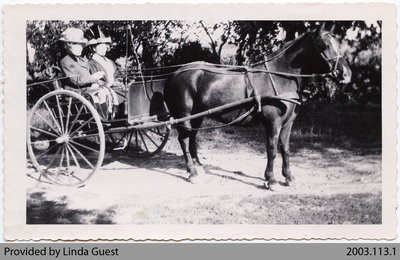 Mrs. Jas. Biggar & Mrs. Geo. Houlding Driving to Women's Institute Meeting, c. 1900