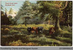 Farm Scene Postcard, Scotland, Ontario