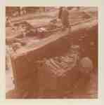 Rice Lake Archaeological Excavation Photograph