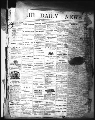 Kingston News (1868), 8 Oct 1873