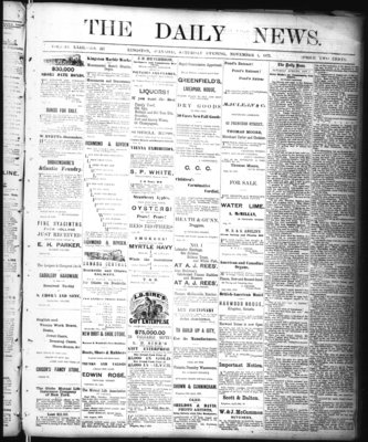 Kingston News (1868), 1 Nov 1873