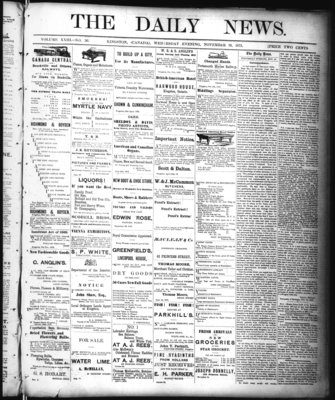 Kingston News (1868), 19 Nov 1873