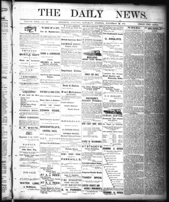 Kingston News (1868), 22 Nov 1873