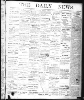 Kingston News (1868), 24 Nov 1873