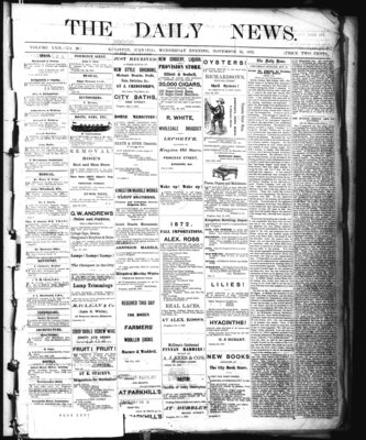 Kingston News (1868), 13 Nov 1872