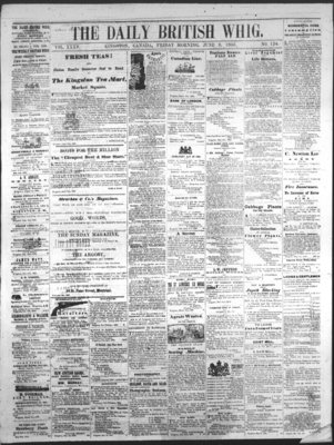 Daily British Whig (1850), 8 Jun 1866