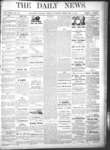 Kingston News (1868), 15 Feb 1878