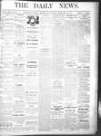 Kingston News (1868), 20 Feb 1878