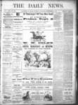 Kingston News (1868), 3 Sep 1878
