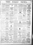 Kingston News (1868), 30 Oct 1878