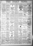 Kingston News (1868), 1 Nov 1878