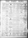 Kingston News (1868), 2 Nov 1878