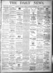Kingston News (1868), 4 Nov 1878