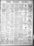 Kingston News (1868), 13 Nov 1878
