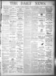 Kingston News (1868), 16 Nov 1878