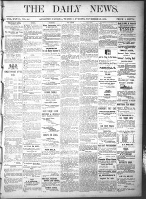 Kingston News (1868), 19 Nov 1878