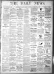Kingston News (1868), 22 Nov 1878